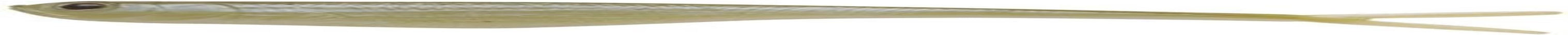 Powerbait Jerk Shad Pearl Watermelon Shad, 5" (6 Count)