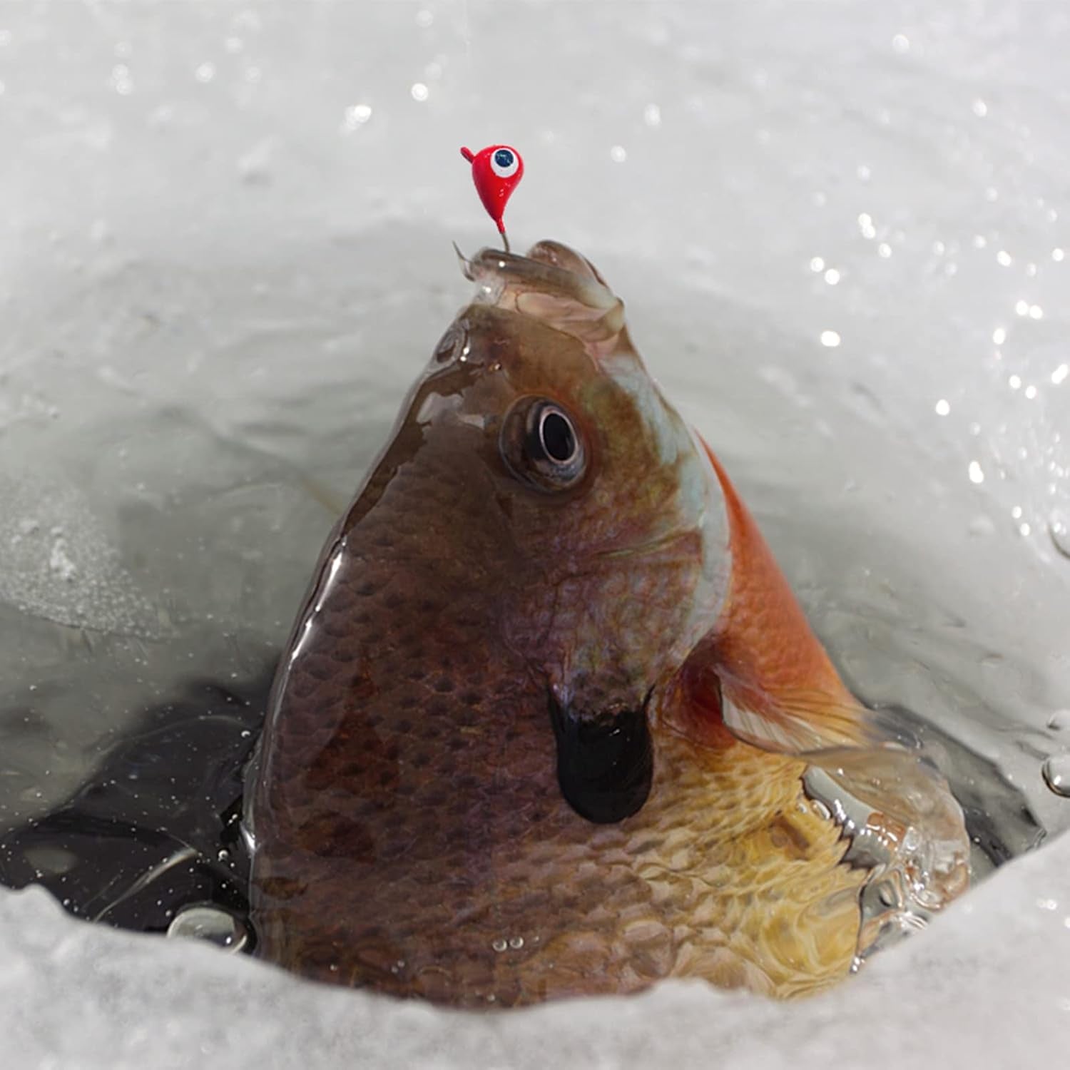 24Pcs Ice Fishing Jigs for Panfish Crappie Sunfish Walleye Ice Fishing Jig Box Gear Accessories Ice Fishing Tackle Box Set