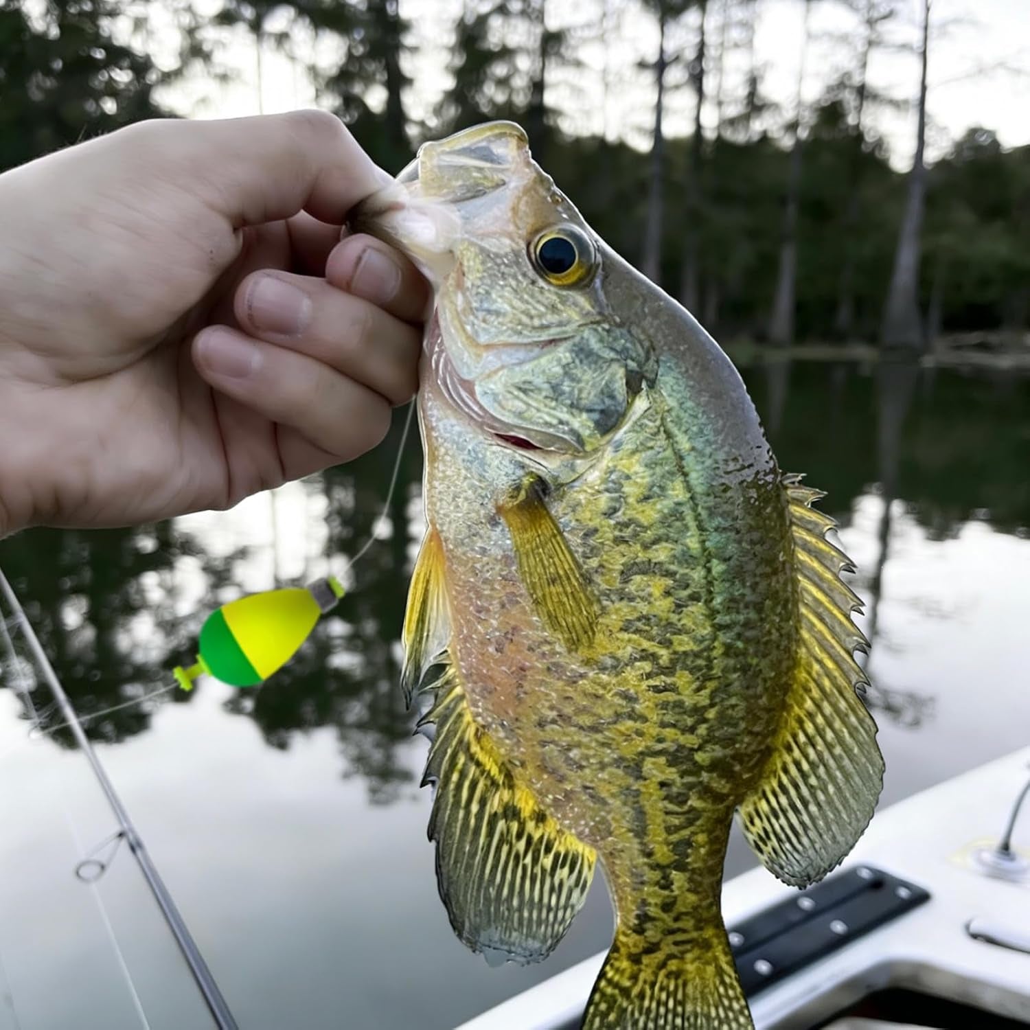 12 Pcs Fishing Bobbers Floats,Snap-On Fishing Bobber Fishing Float Corks Weighted Bobbers for Fishing Crappie Panfish Bluegill Trout