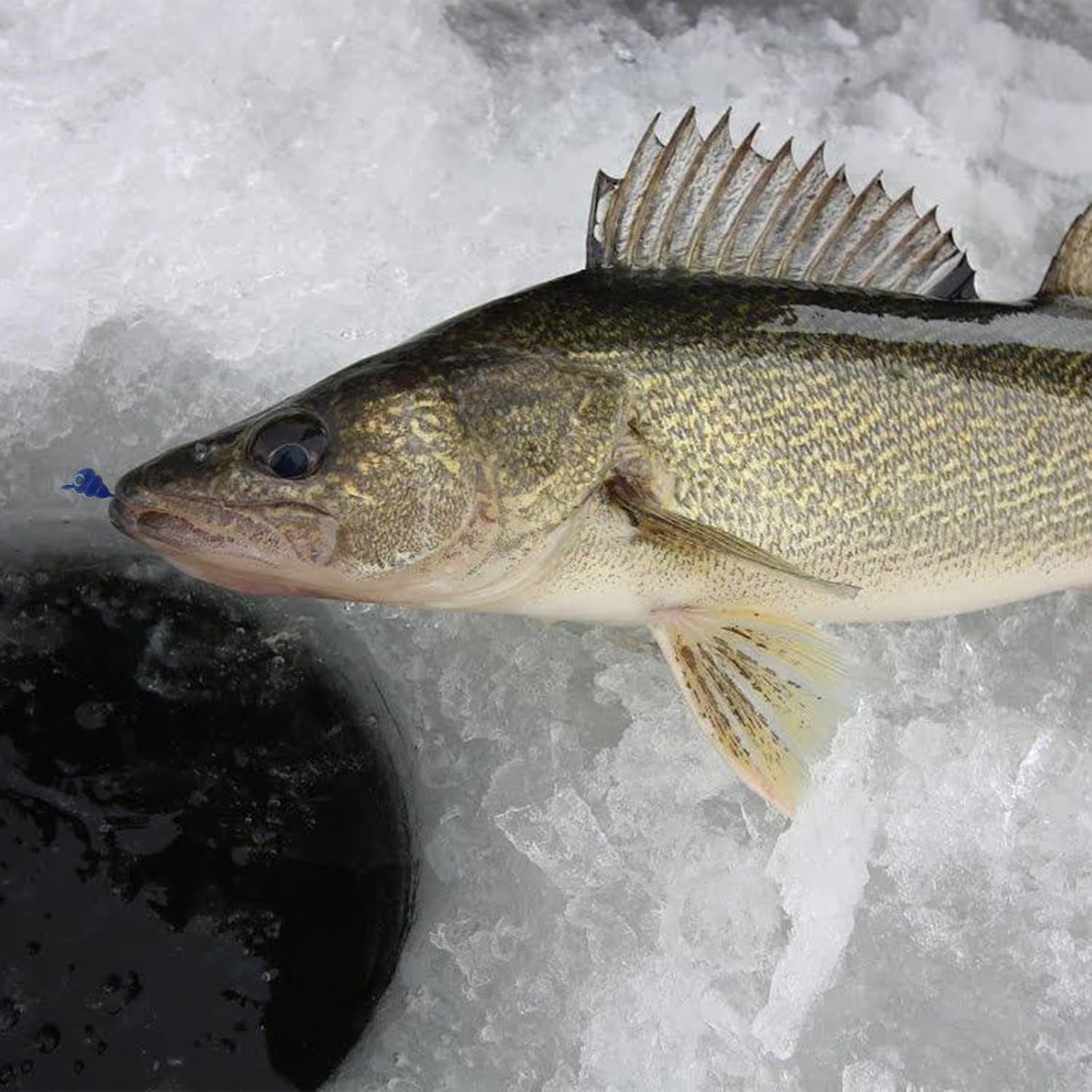 24Pcs Ice Fishing Jigs for Panfish Crappie Sunfish Walleye Ice Fishing Jig Box Gear Accessories Ice Fishing Tackle Box Set