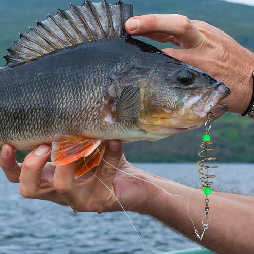 BESPORTBLE Luminous Carp Feeder Cages, 12-Pack - product image 2
