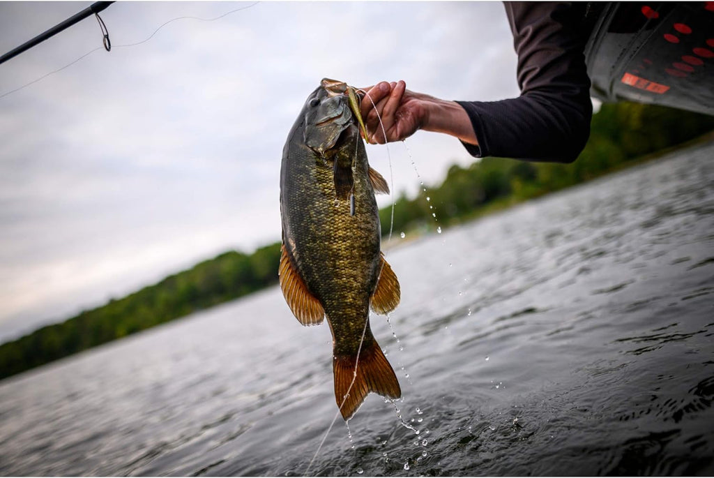 Powerbait Pro Twitchtail Minnow Fishing Bait, Smelt, 3In | 8Cm, Irresistible Scent & Flavor, Realistic Profile, Ideal for Bass, Walleye, Trout and More