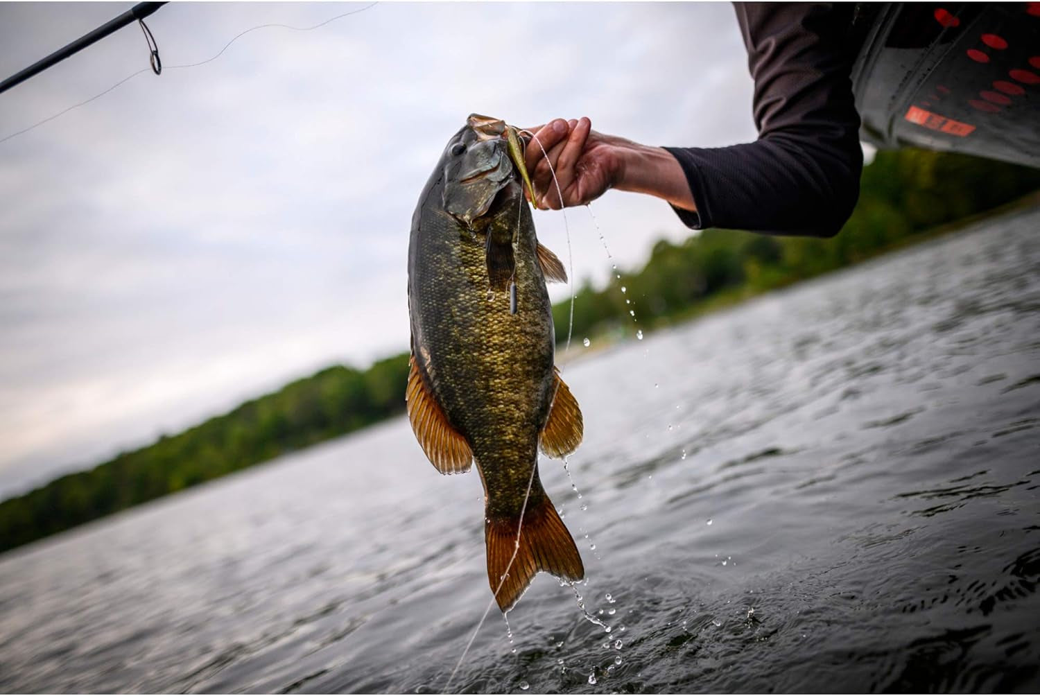 Powerbait Pro Twitchtail Minnow Fishing Bait, Smelt, 3In | 8Cm, Irresistible Scent & Flavor, Realistic Profile, Ideal for Bass, Walleye, Trout and More