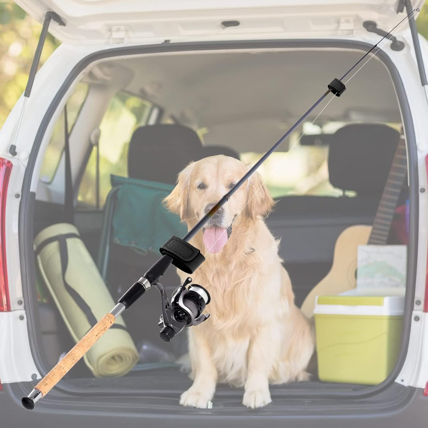Fishing Rod Ties Fishing Rod Wrap Strap Fishing Pole Belt Stretchy Rod Holder Elastic Fishing Tackle Ties Casting Rod Strap (Black Color, 20 Pcs)