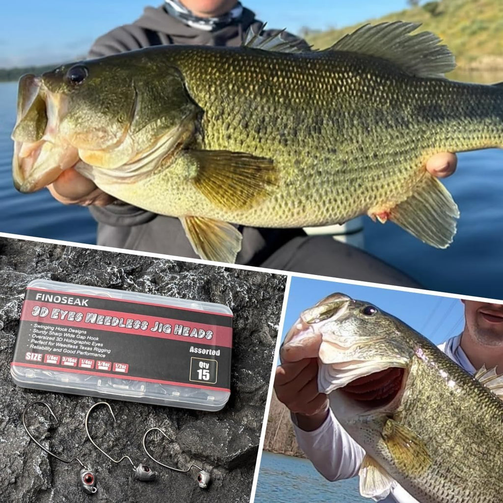 Vivid Fish Eyes Swimbait Jig Heads for Fishing, 15Pcs Swing Bass Jigheads Lifelike Weedless Jig Heads for Ned Rig or Texas Rig 1/8 3/16 1/4 3/8 1/2Oz